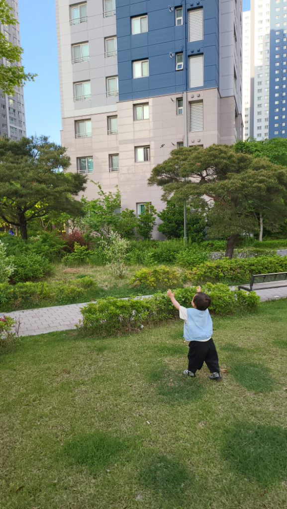 팔로우픽 - followPick | 도전