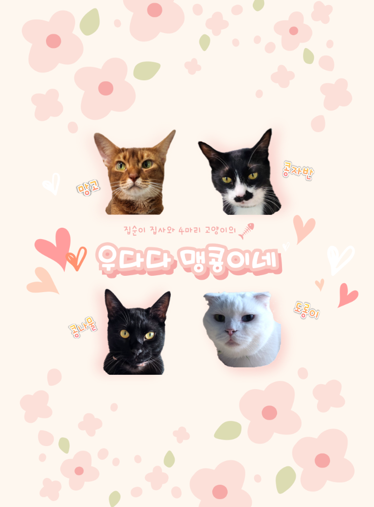팔로우픽 - followPick | 고양이 용품 협찬 리뷰해드려요