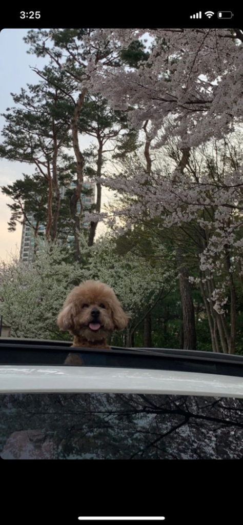 팔로우픽 - followPick 