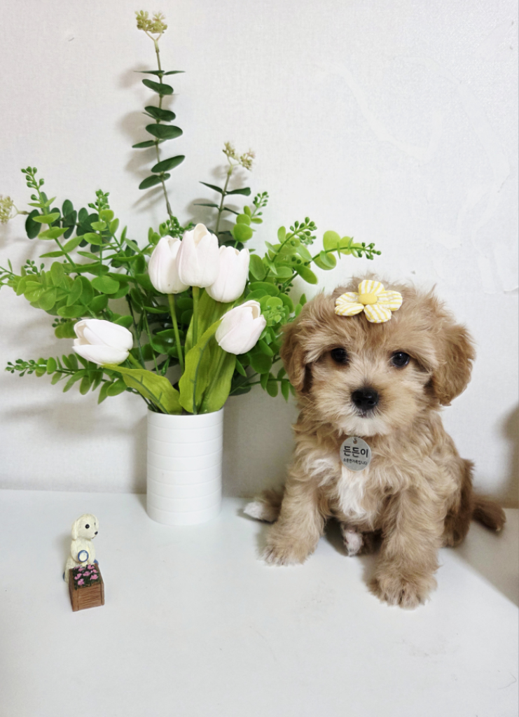팔로우픽 - followPick 