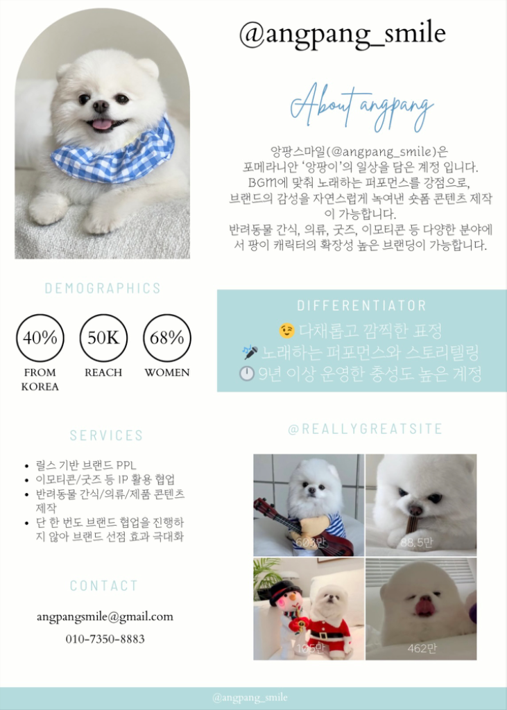 팔로우픽 - followPick | 포메라니안 앙팡스마일 입니다 😊