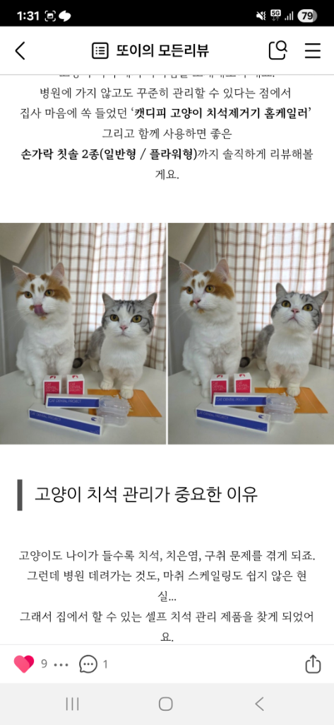 팔로우픽 - followPick 