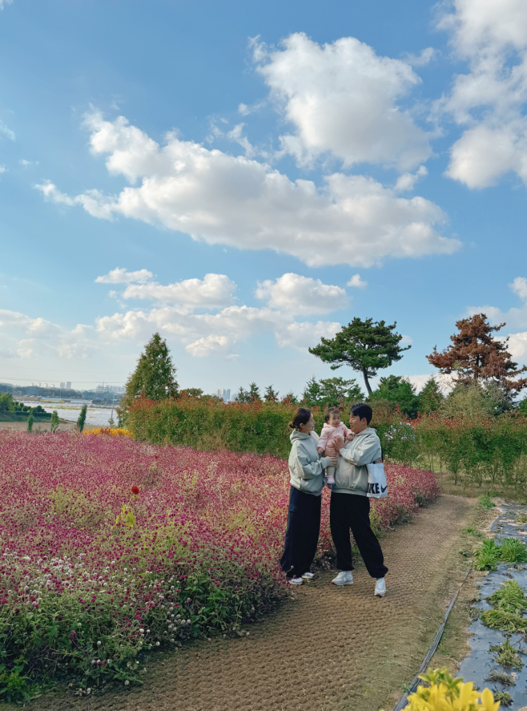 팔로우픽 - followPick 