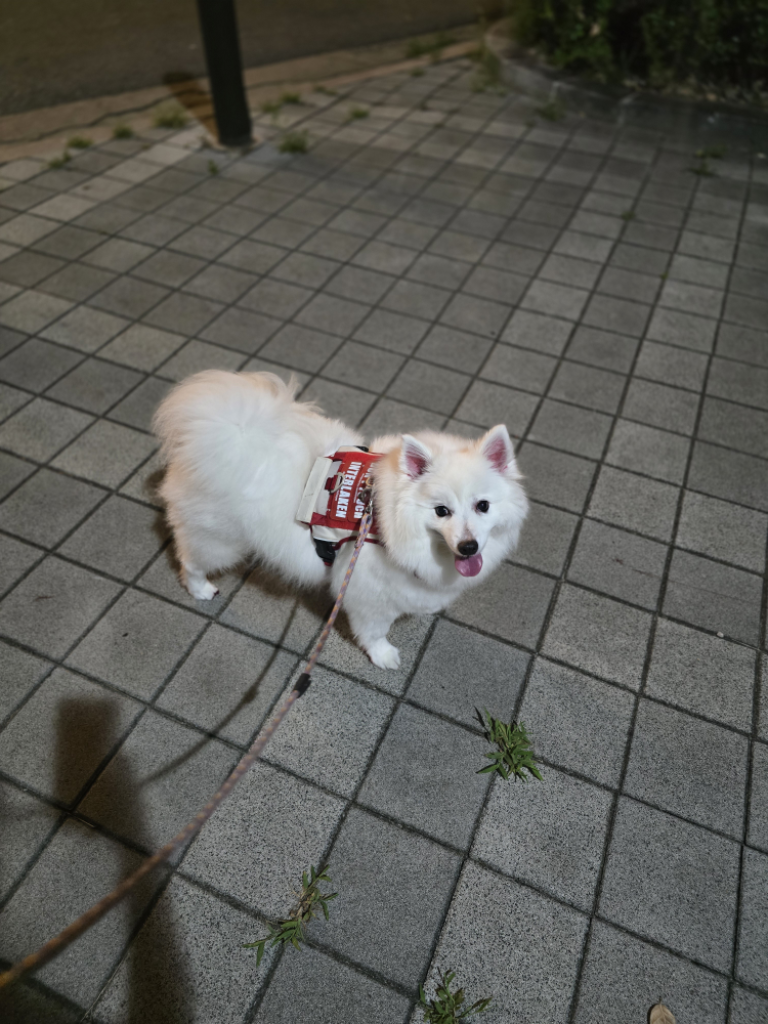 팔로우픽 - followPick 