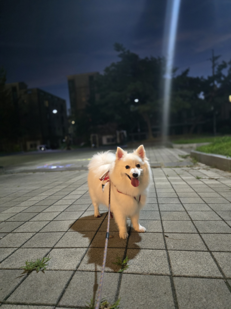 팔로우픽 - followPick 