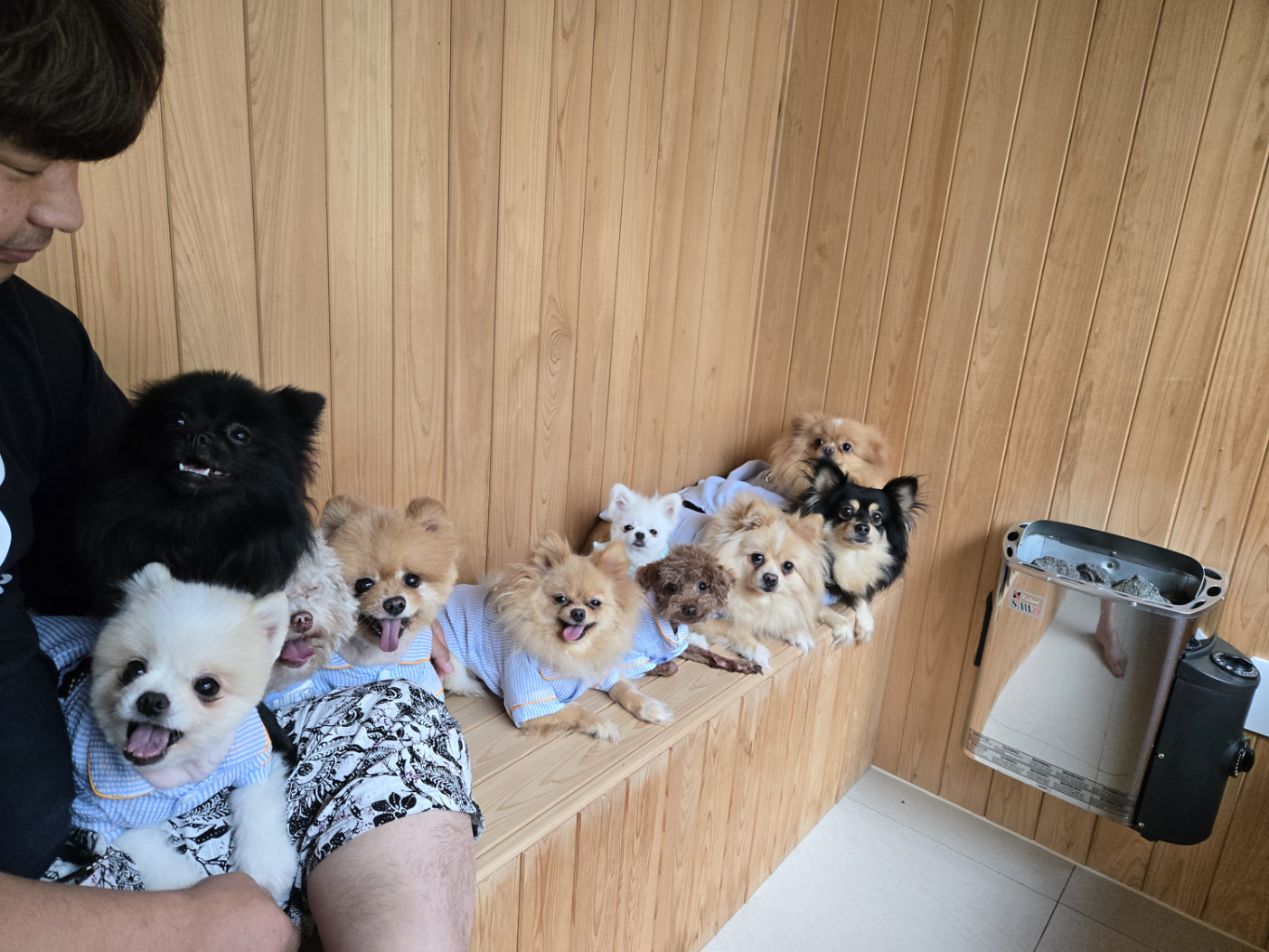 팔로우픽 - followPick | ※귀염둥이 사랑둥이 반려견 체험단 대기중※