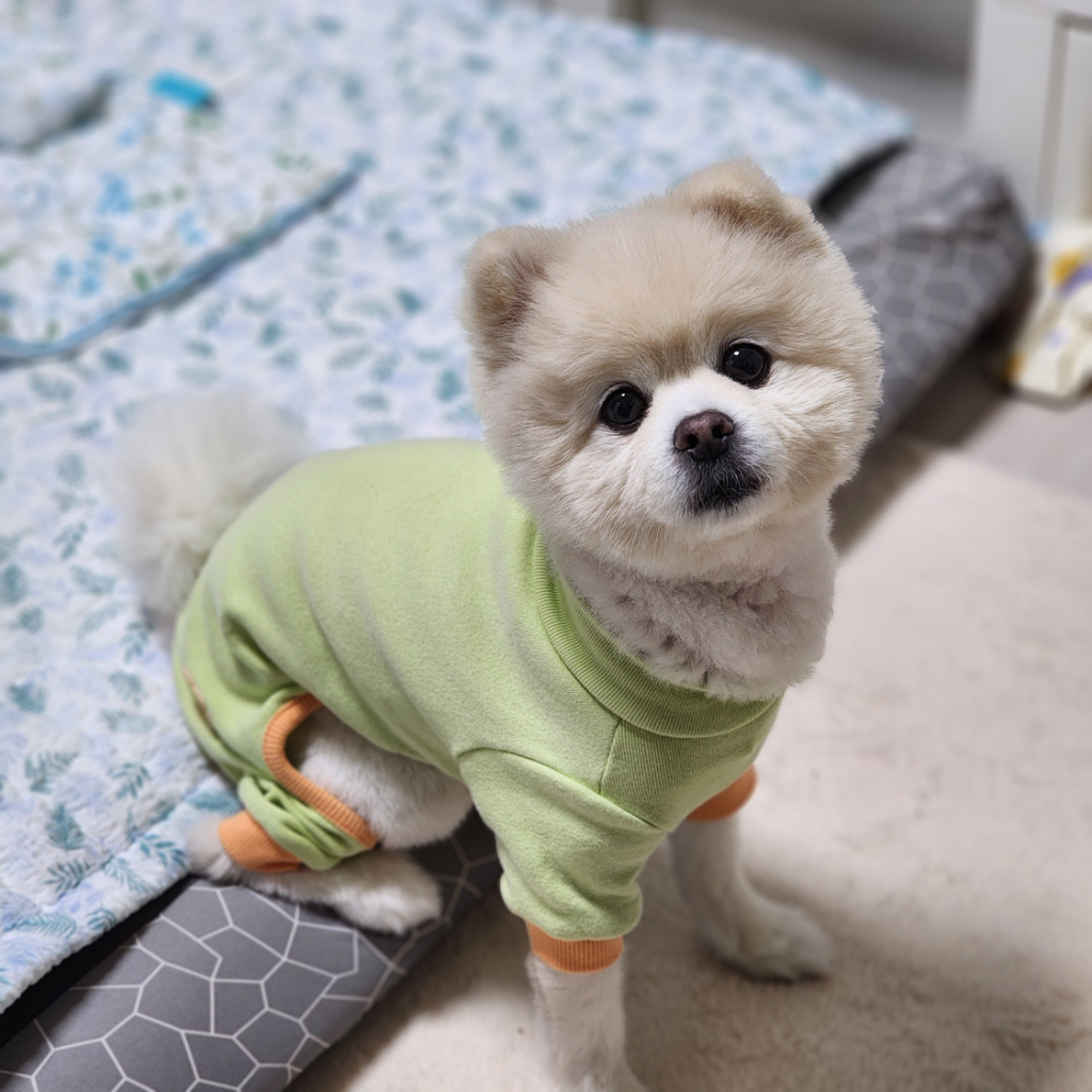 팔로우픽 - followPick | 반려동물 용품 등 협찬 바랍니당!