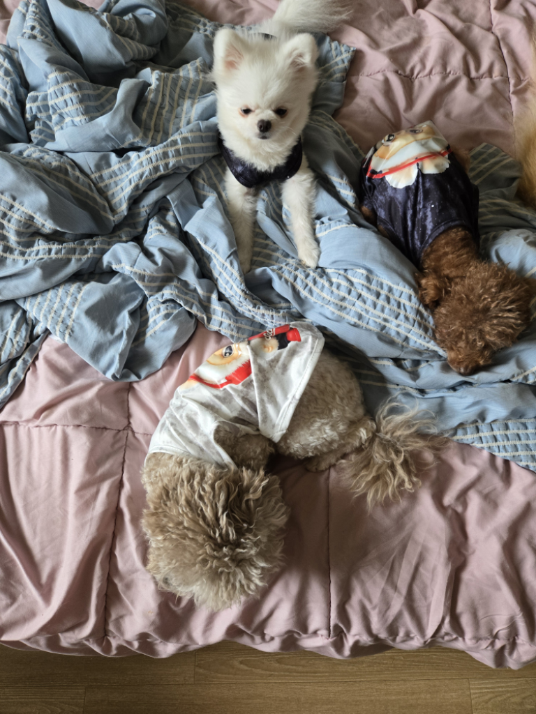 팔로우픽 - followPick 