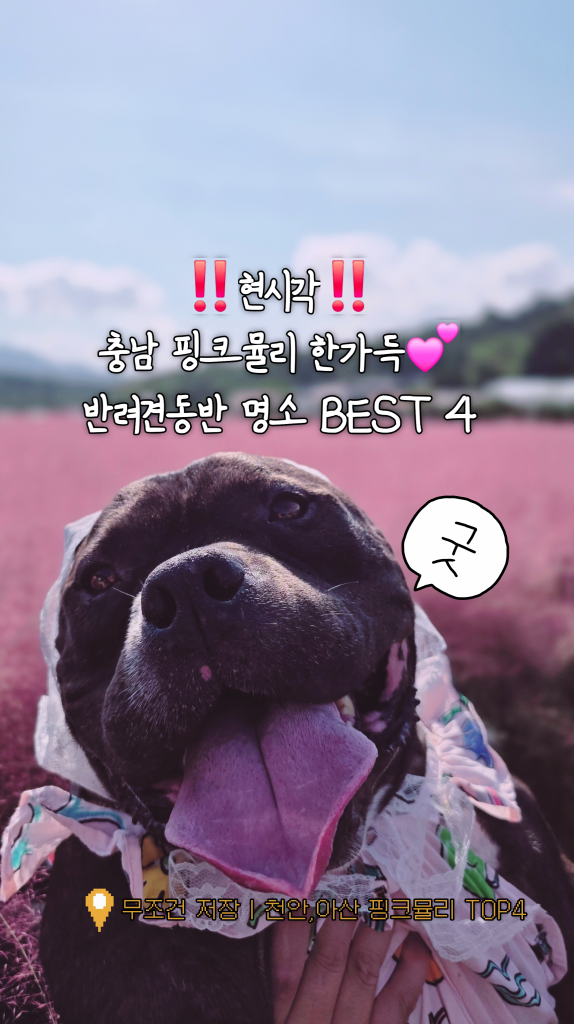 팔로우픽 - followPick | 숙소협찬 협업합니다!