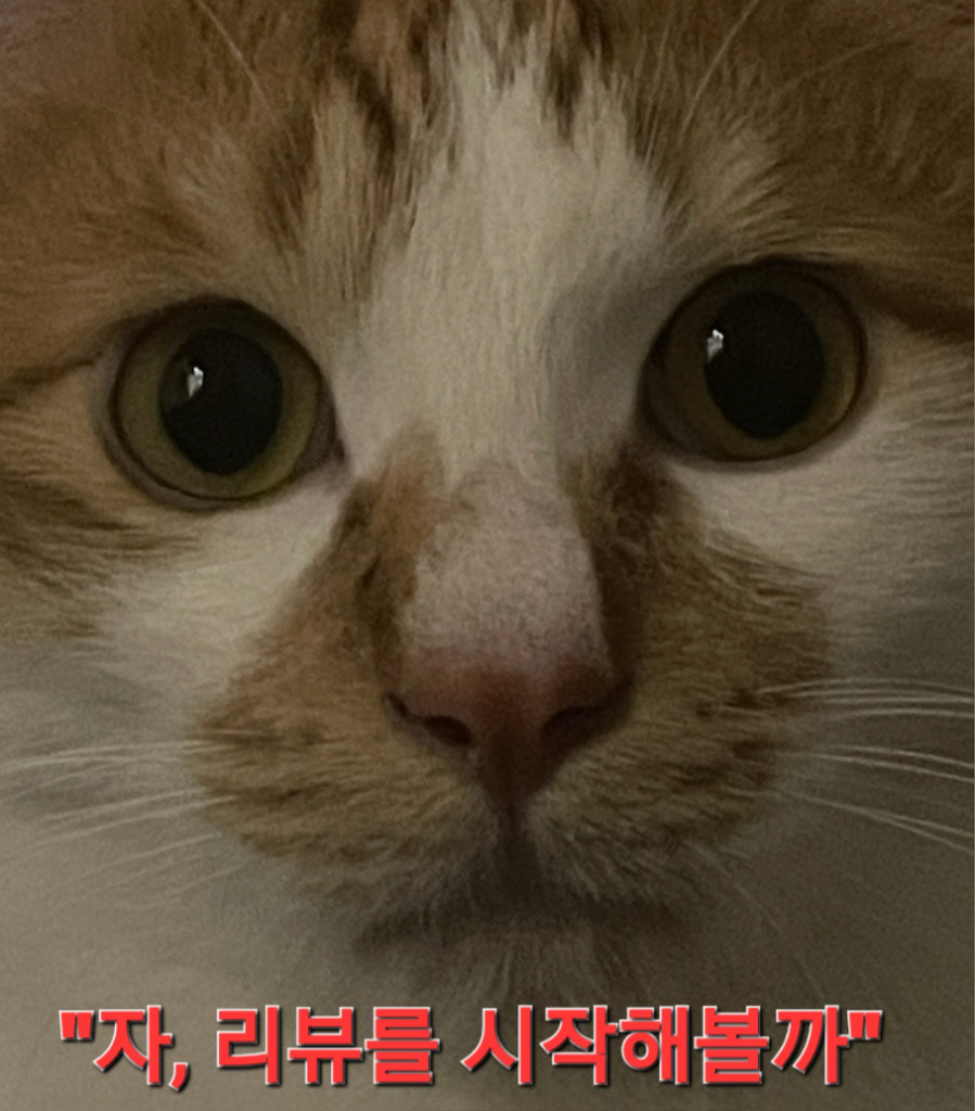 팔로우픽 - followPick | 안녕하세요 집사 블로거입니다!