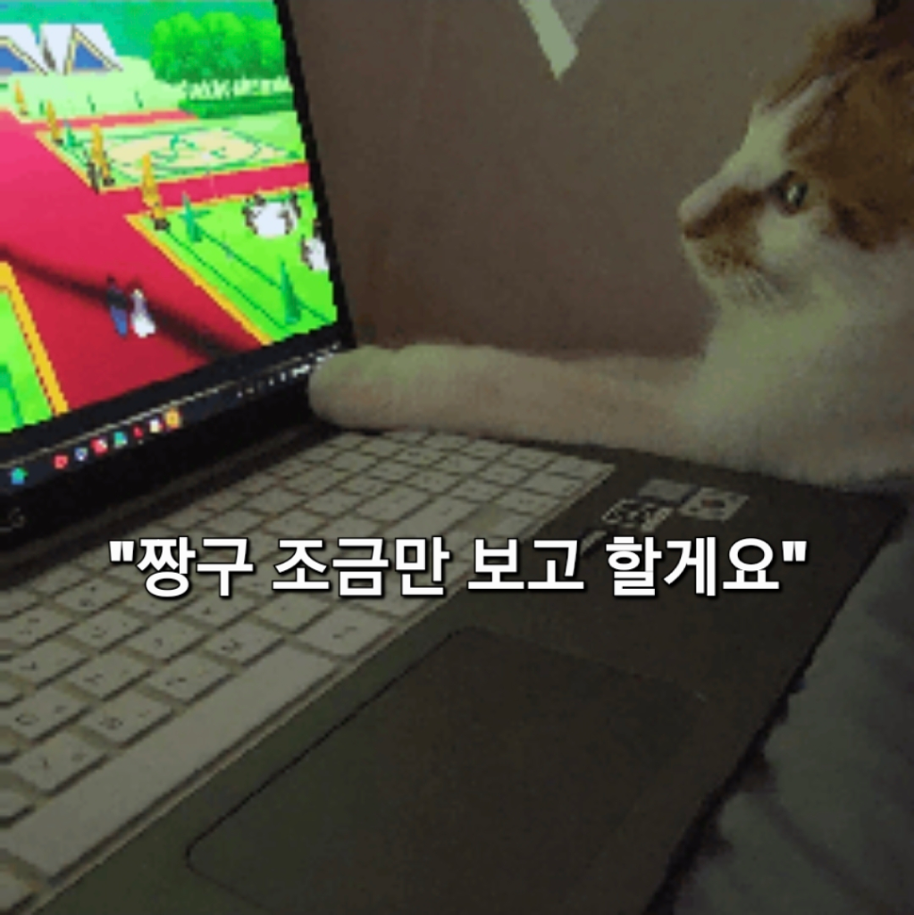 팔로우픽 - followPick 