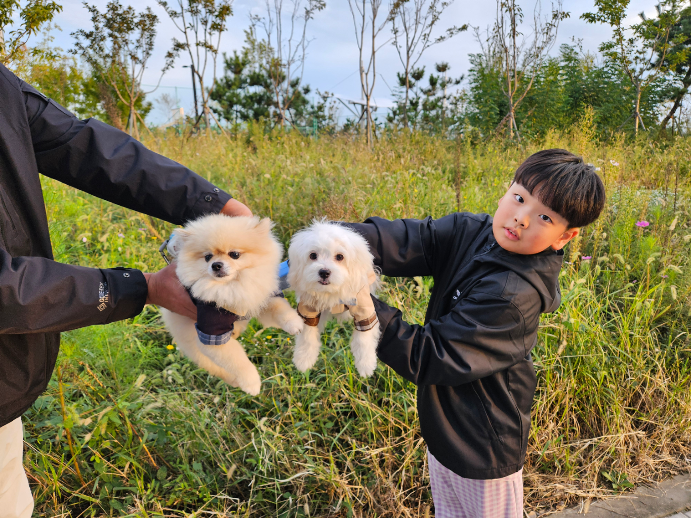 팔로우픽 - followPick | 캠핑,애견,키즈 관련된 협찬 받습니다~!