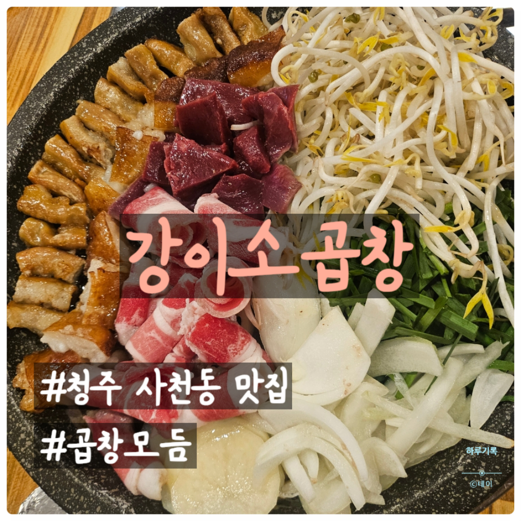 팔로우픽 - followPick 
