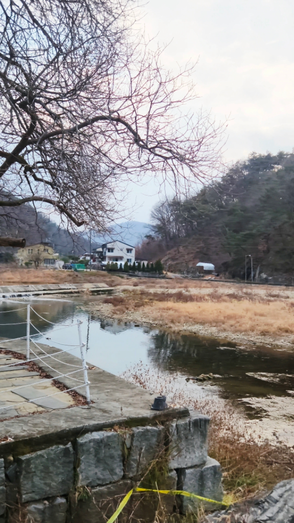 팔로우픽 - followPick 