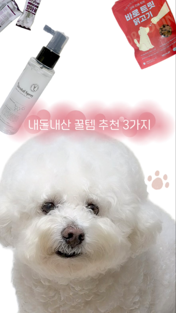 팔로우픽 - followPick | 반려동물 용품 협찬 받아요:) [피드,릴스]
