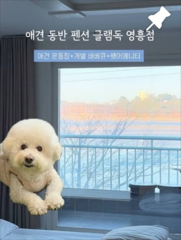 팔로우픽 - followPick 