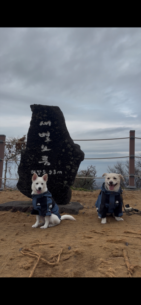 팔로우픽 - followPick | 반려동물 관련 협찬 문의 편히 주세요🐶
