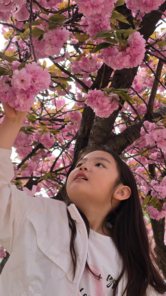 팔로우픽 - followPick 