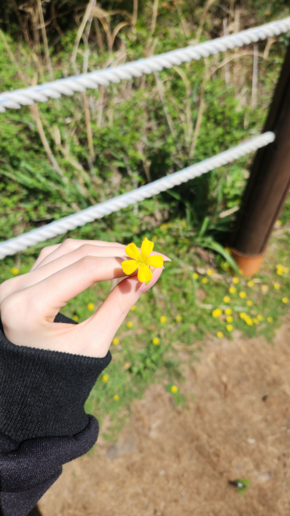 팔로우픽 - followPick | 협찬/광고/홍보 해드립니다!!
