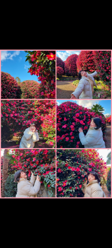 팔로우픽 - followPick 