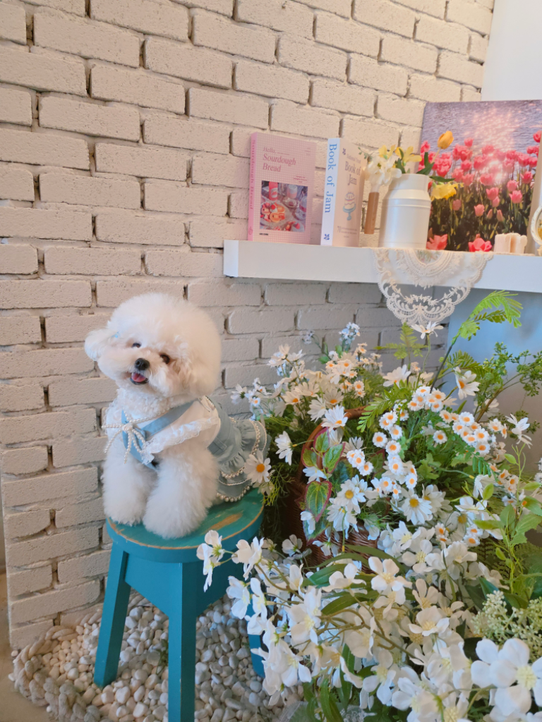 팔로우픽 - followPick 