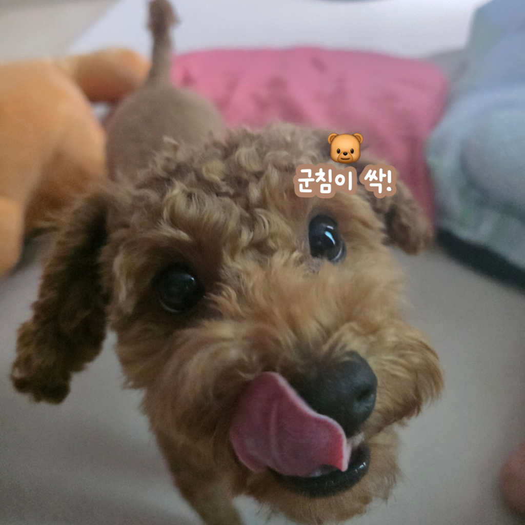 팔로우픽 - followPick 