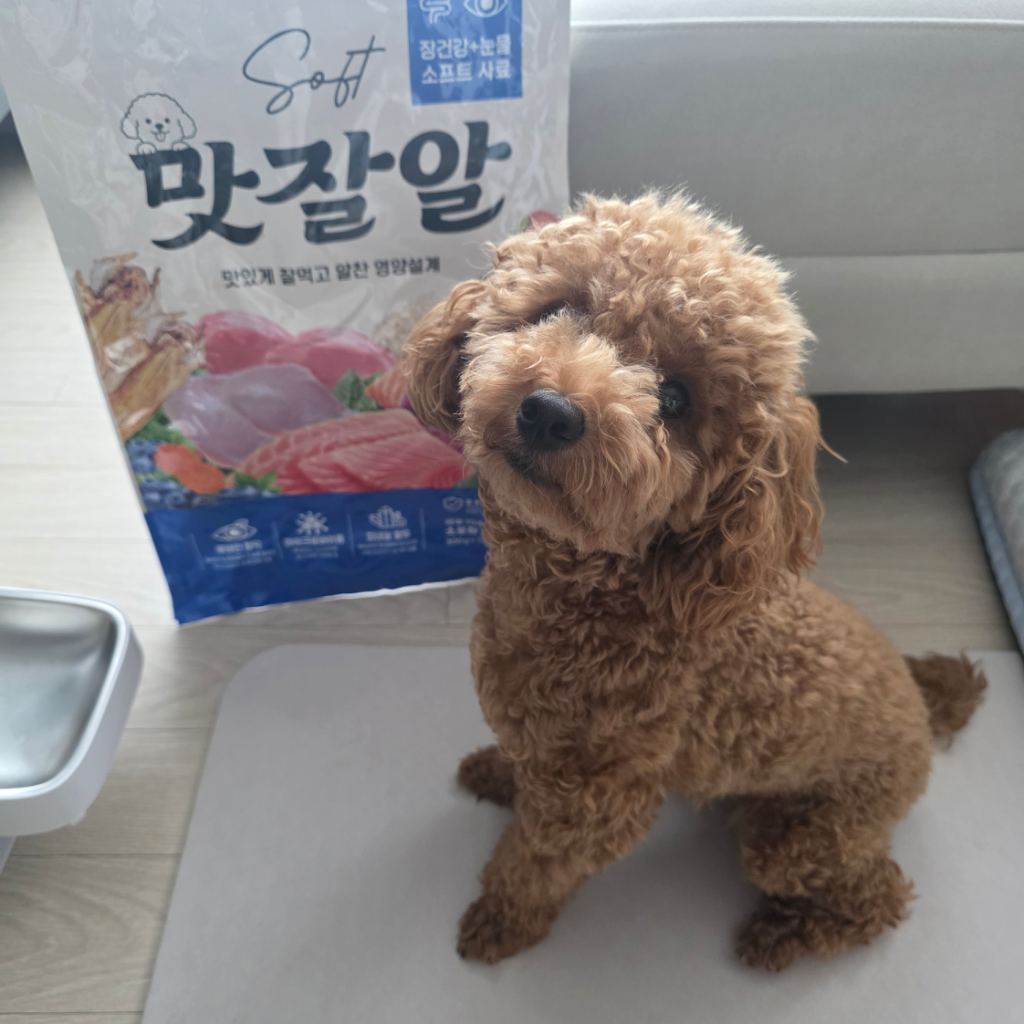 팔로우픽 - followPick 